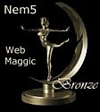 Nem5 Web Maggic Bronze Award