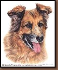 Alika - Mixed Breed Painting