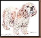 Chelsea - Cocker Spaniel Painting