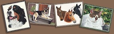 Free Pet Greeting Cards