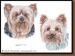 Gandria & Joy - Yorkshire Terrier Painting