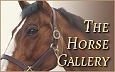 The Horse Portraits Gallery