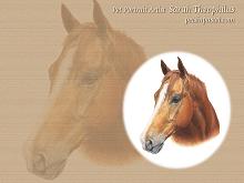 Sorrel Horse Wallpapers