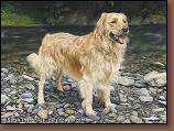 Tucker - Golden Retriever Painting